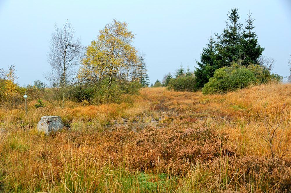 Baraque_Michel_025.jpg