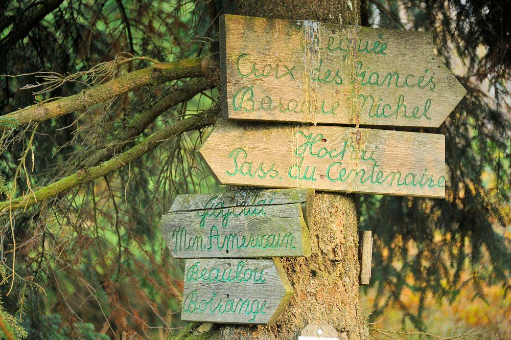 Baraque_Michel_047.jpg