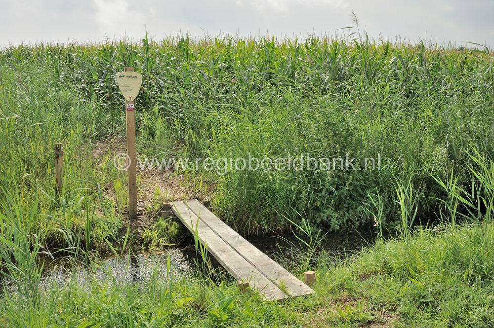 Batouwepad_034.jpg