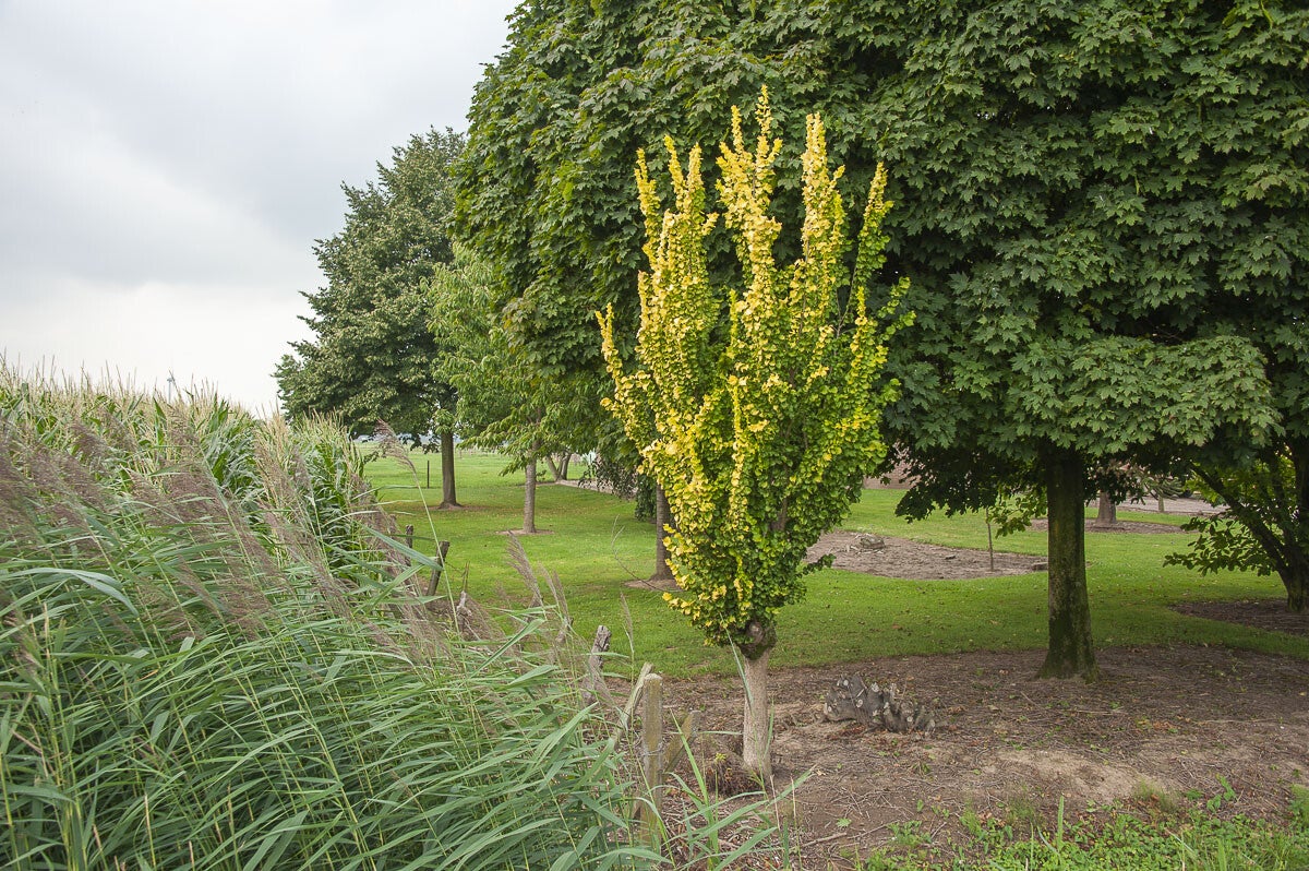 Batouwepad_042-1.jpg