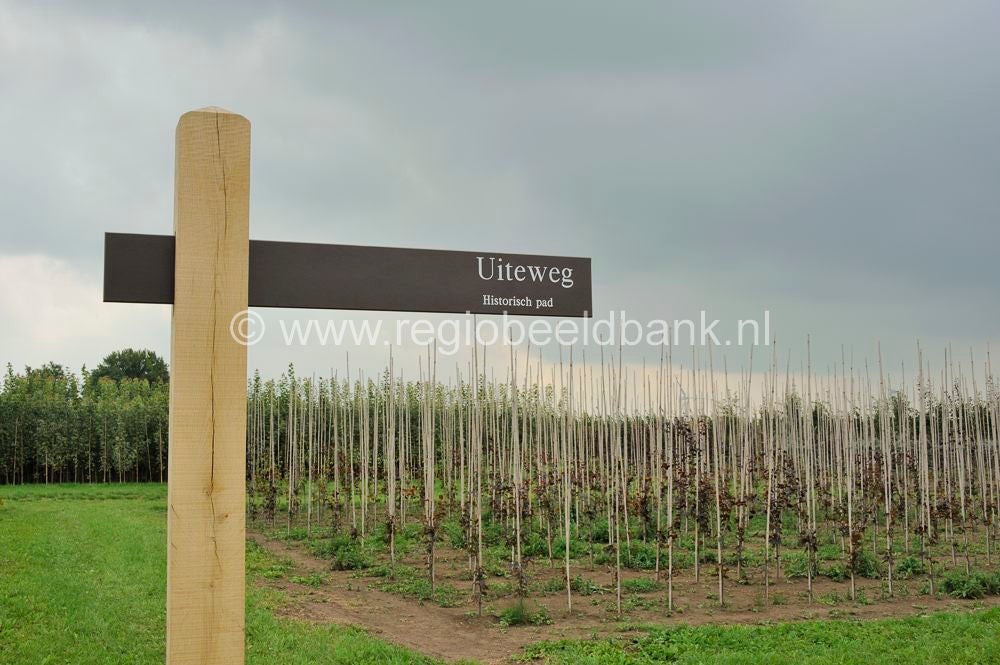 Batouwepad_043.jpg