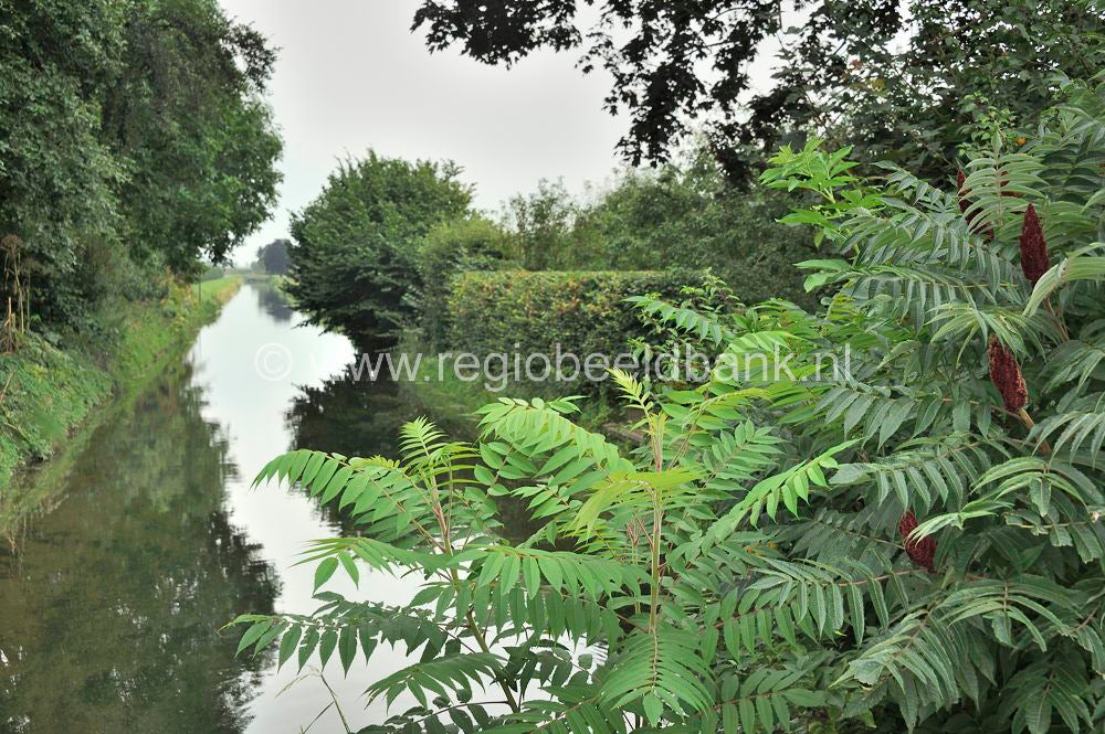 Batouwepad_047.jpg