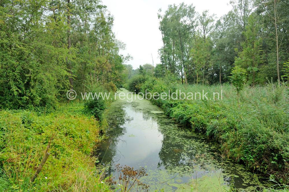 Batouwepad_053.jpg