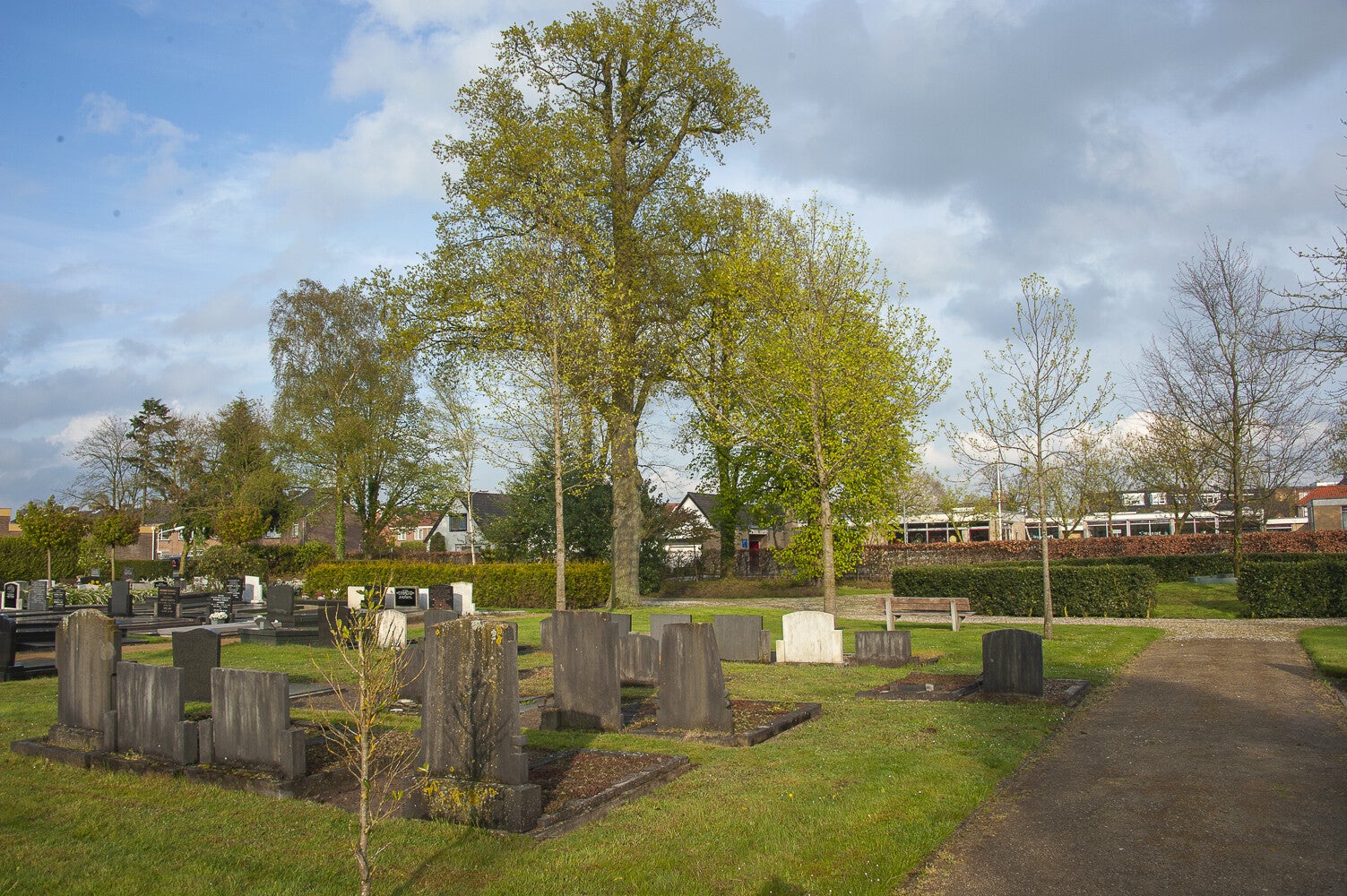 BegraafplaatsdeGlashorst_269.jpg