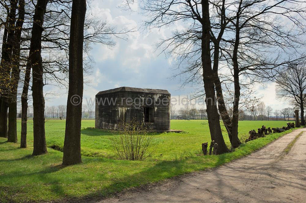Binnenveld_019_01.jpg