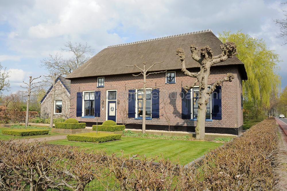 Binnenveld_020_01.jpg
