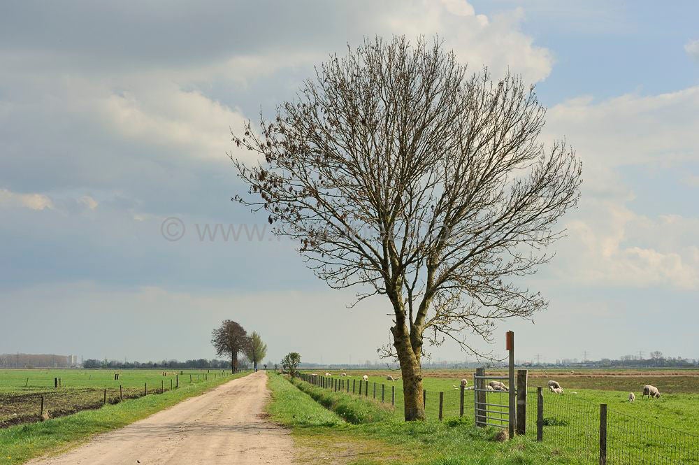 Binnenveld_021_01.jpg