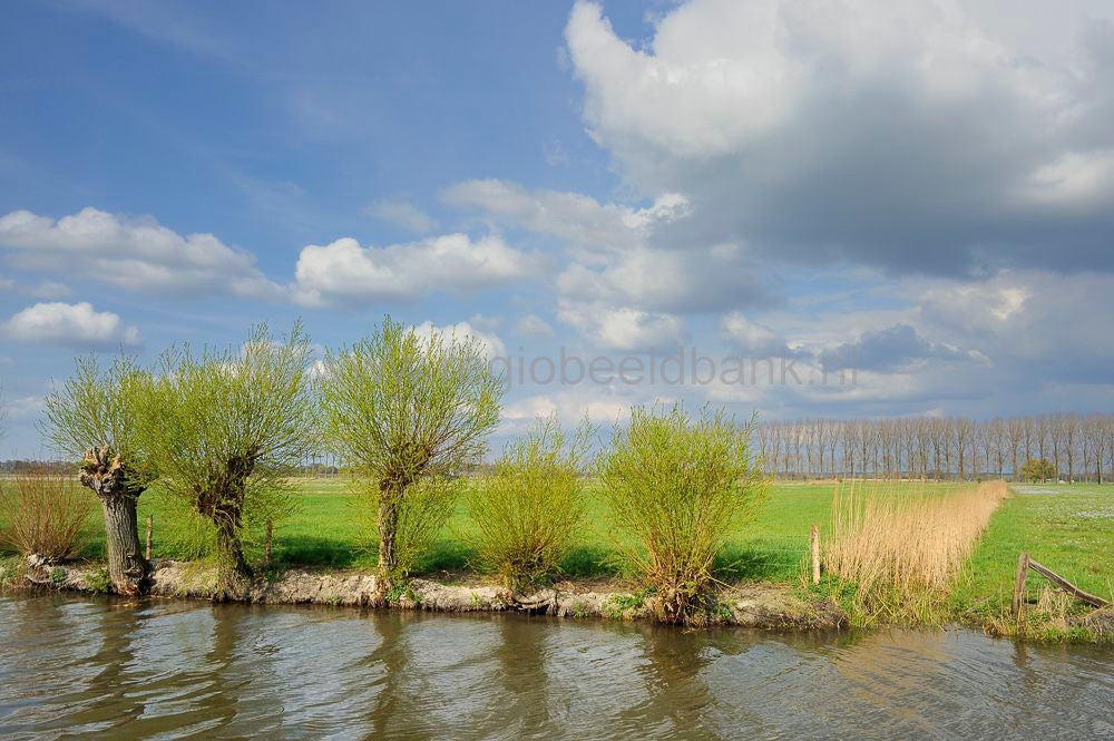 Binnenveld_023_01.jpg