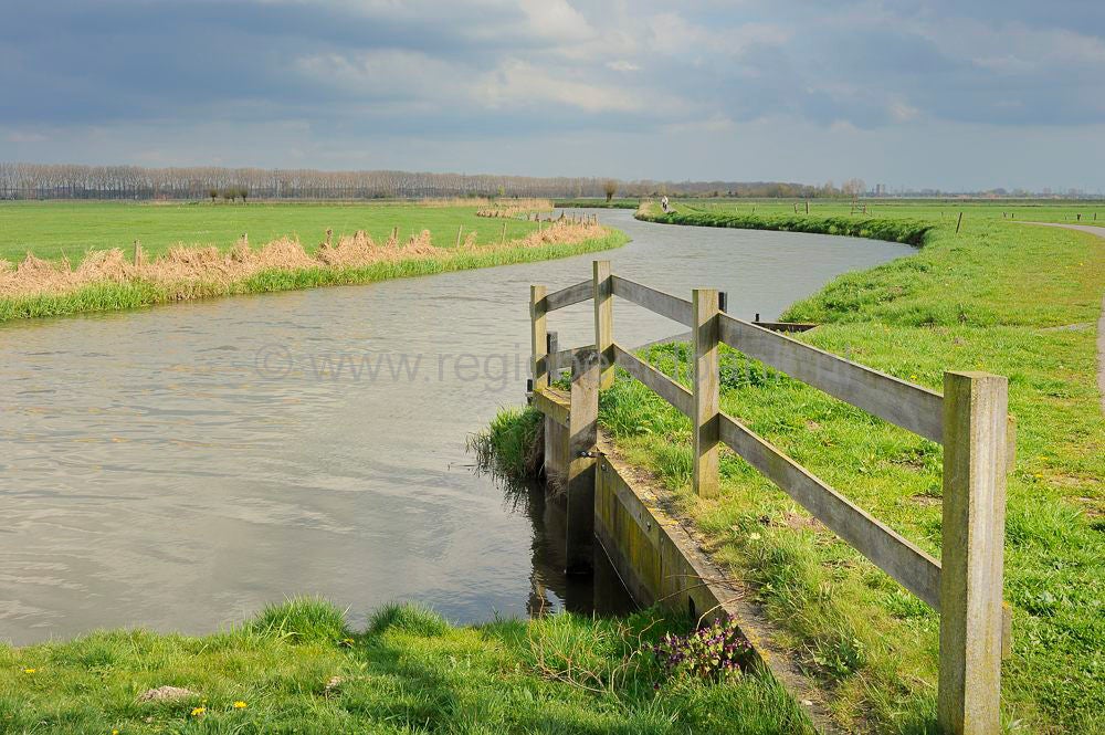 Binnenveld_033.jpg