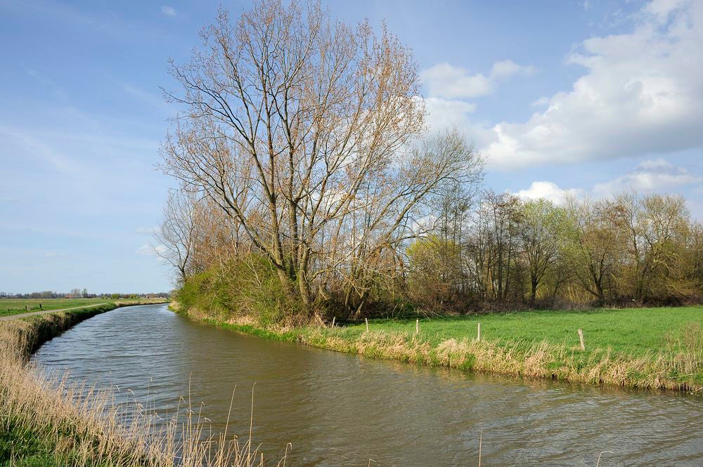 Binnenveld_036_01.jpg