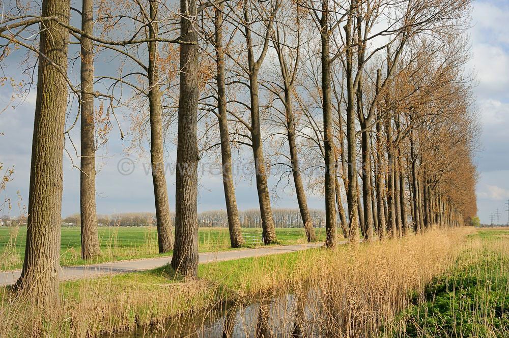 Binnenveld_043.jpg