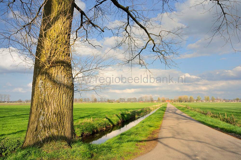 Binnenveld_048.jpg