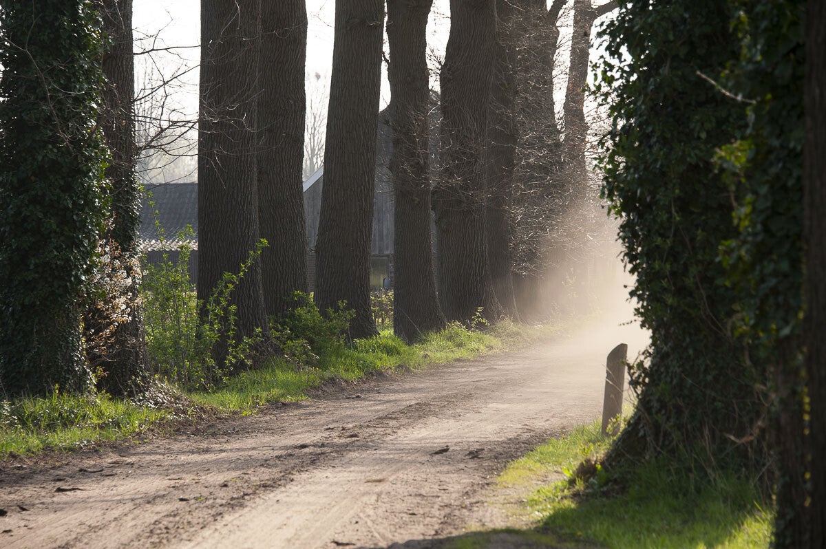 Boereneschpad Gelselaar 18 03 2017