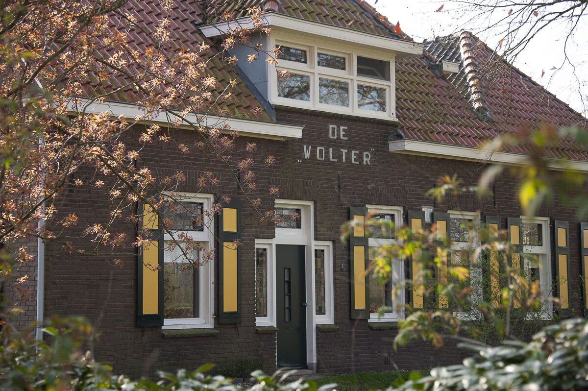 Boereneschpad_007-1.jpg