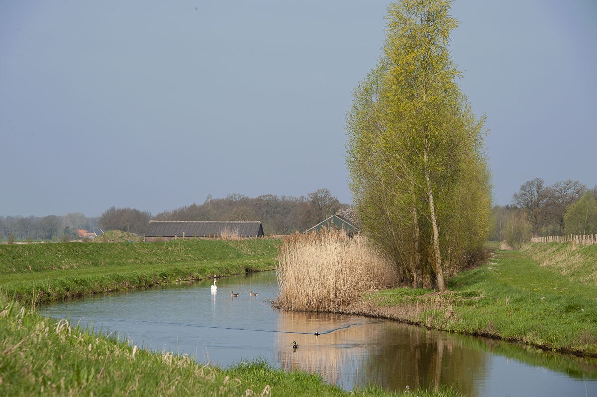 Boereneschpad_013-1.jpg