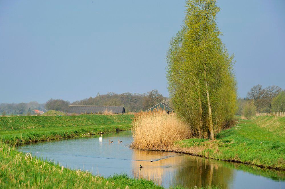 Boereneschpad_013.jpg
