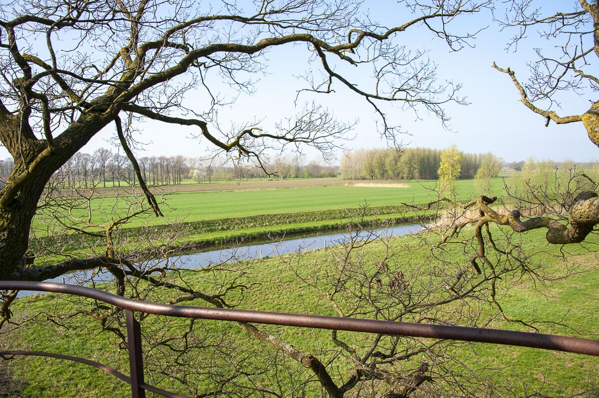 Boereneschpad_015.jpg