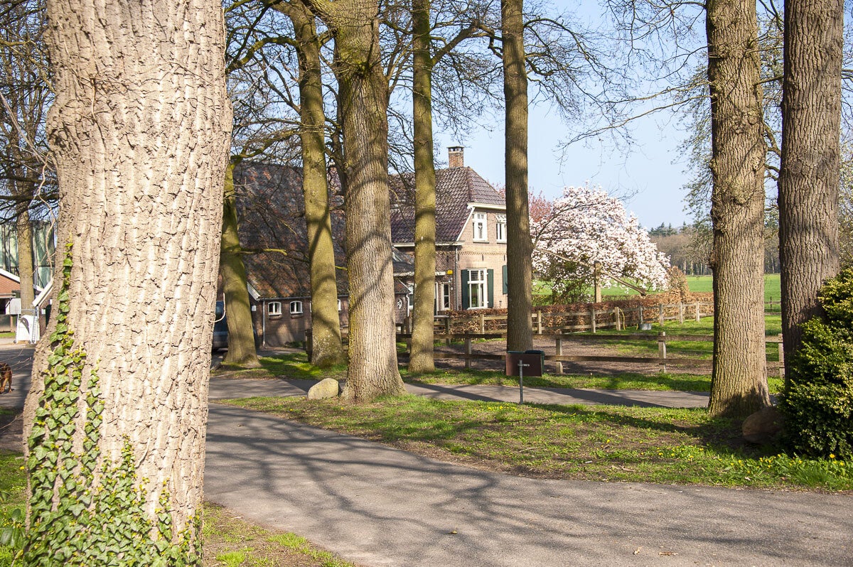 Boereneschpad_019-1.jpg