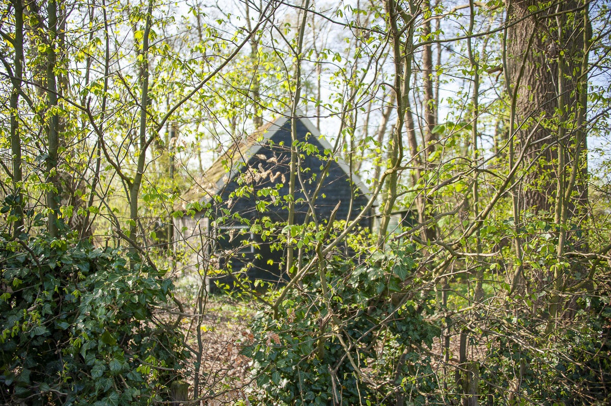 Boereneschpad_024.jpg