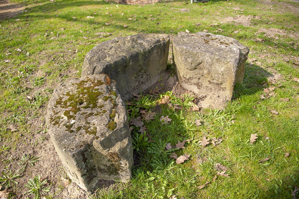 Boereneschpad_028-1.jpg