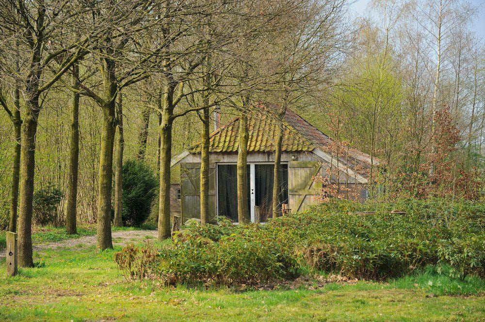 Boereneschpad_031.jpg