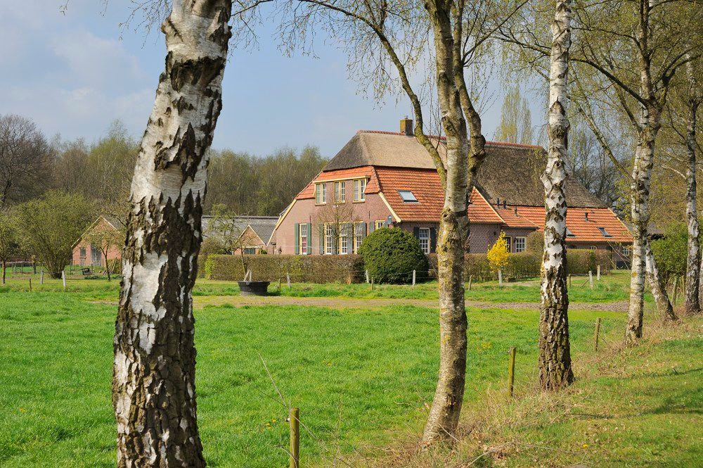 Boereneschpad_043.jpg