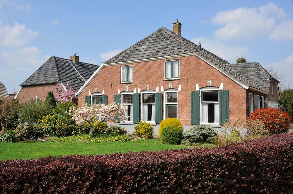 Boereneschpad_048.jpg