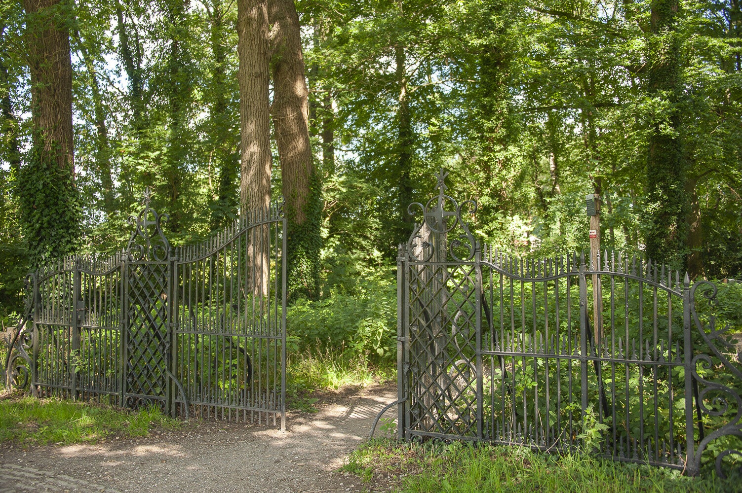 Doornboomspark - De Maatjes