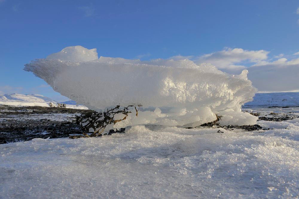 Brajanslkur_004.jpg