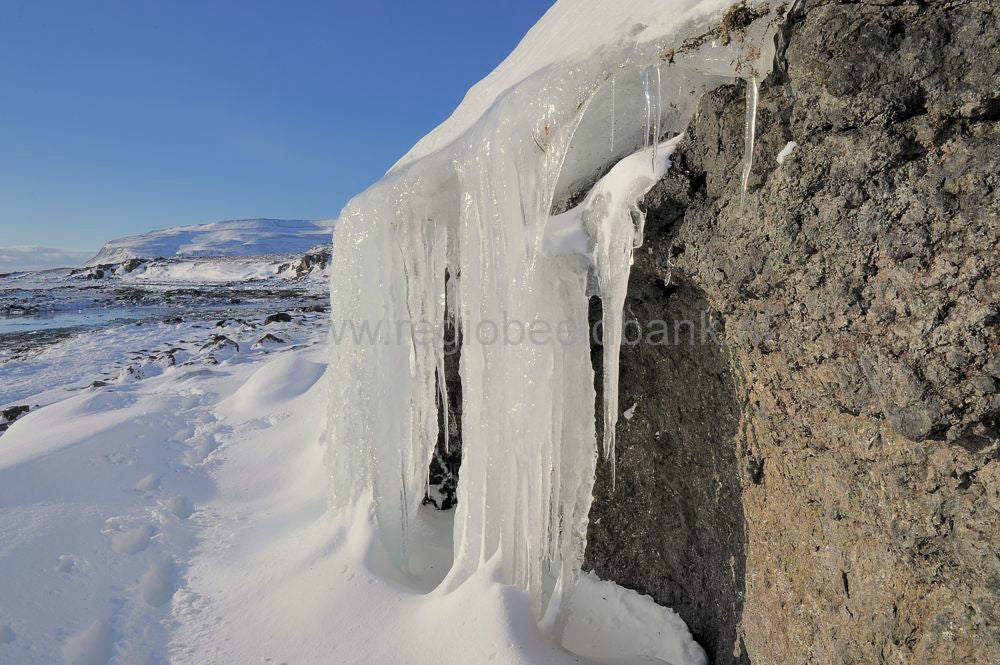 Brajanslkur_006.jpg