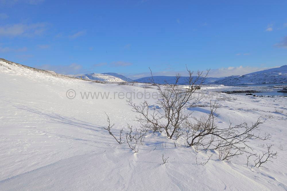 Brajanslkur_014.jpg