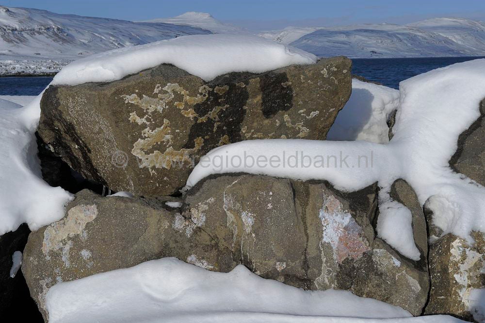 Brajanslkur_024.jpg