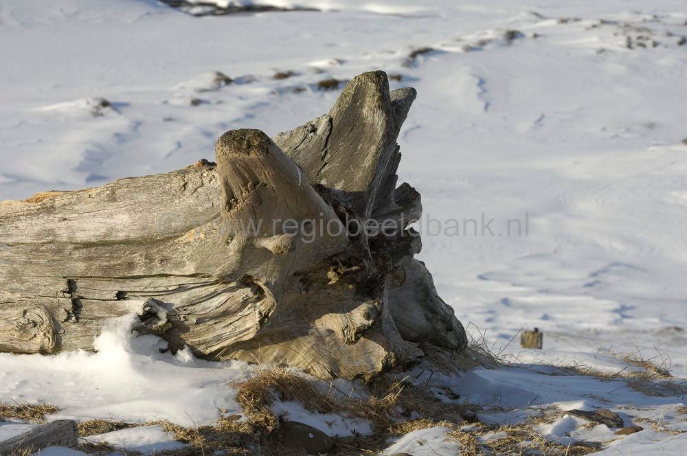 Brajanslkur_038.jpg