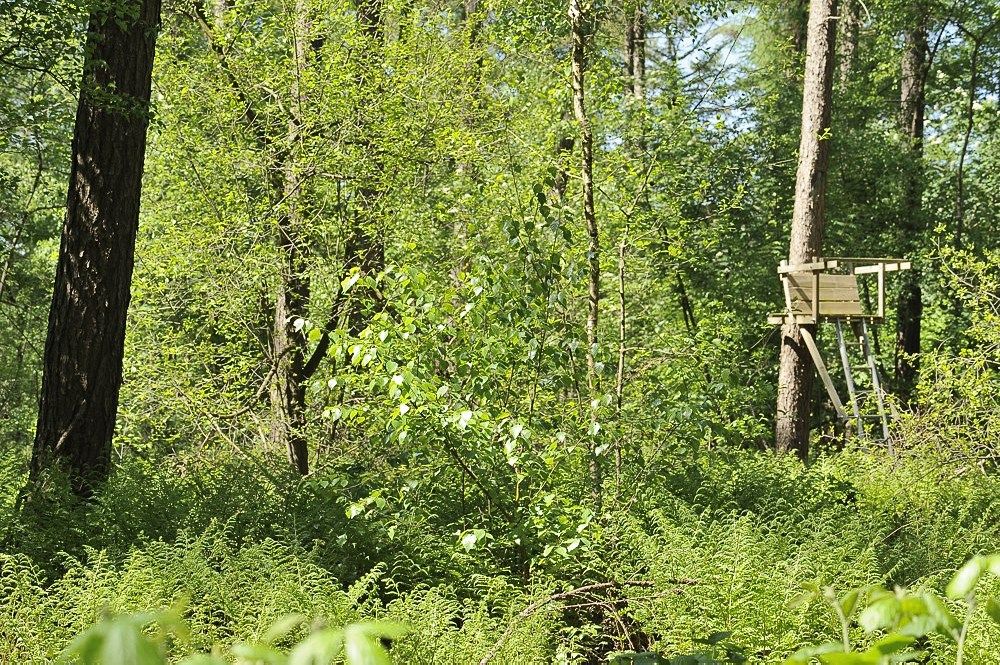Breehoef_Lente_030.jpg