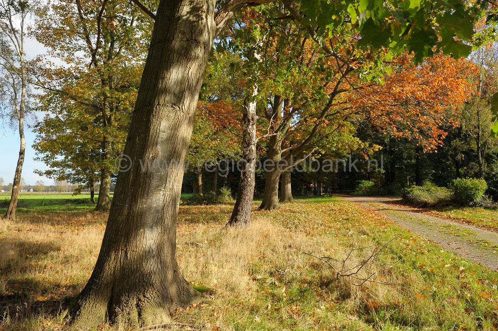 Breeschoterpad_0011.jpg