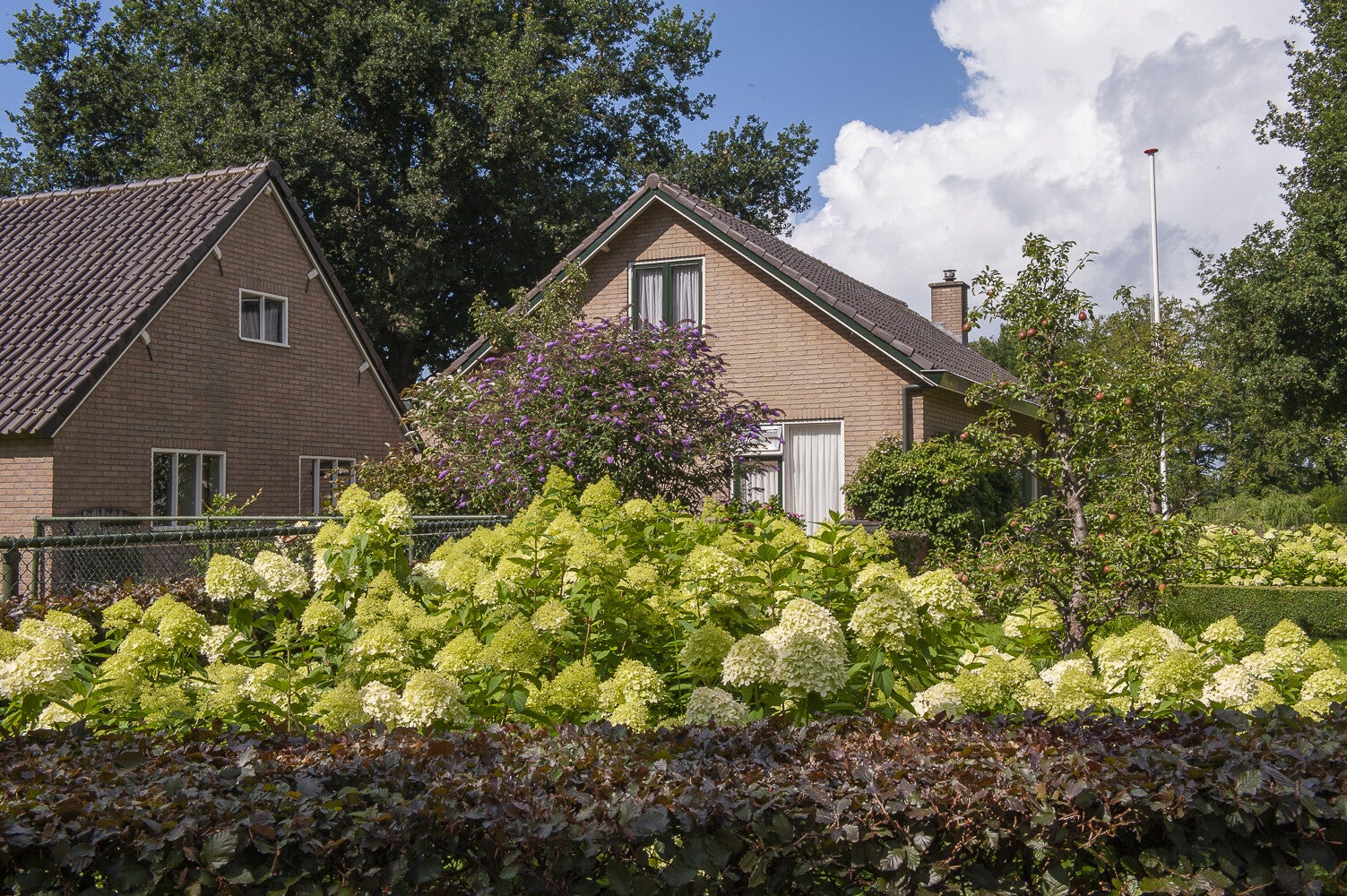 Holevoetlaan - De Heijhorst