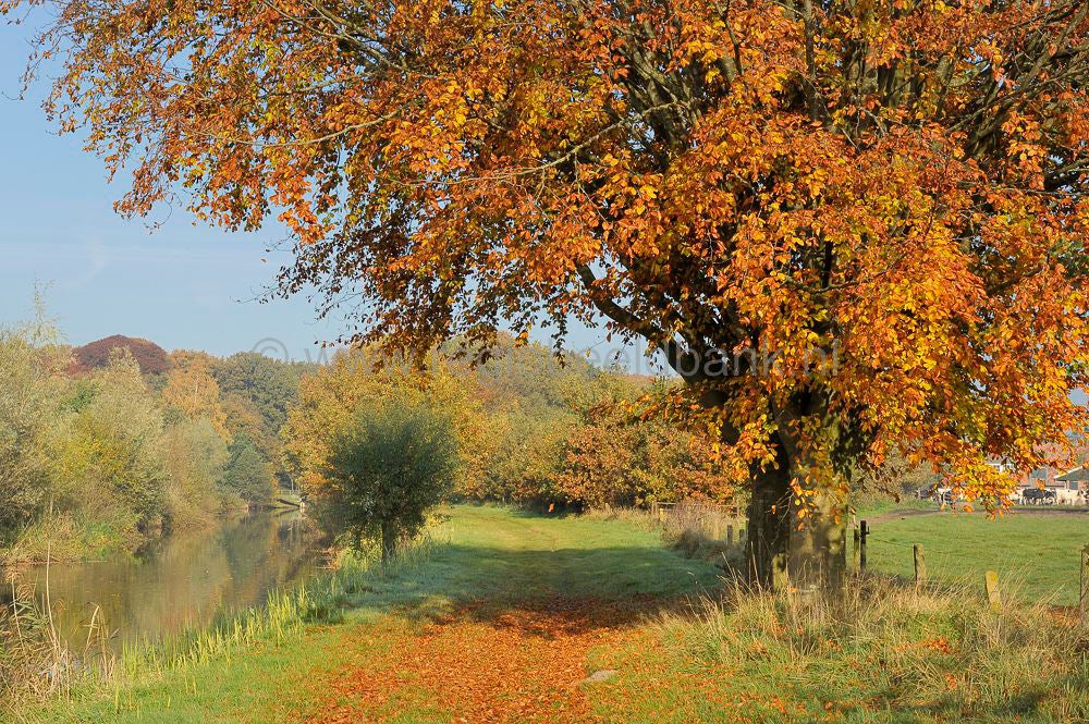 Broekerbos_103-1.jpg