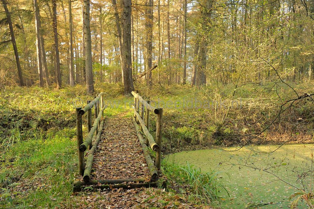 Broekerbos_107.jpg