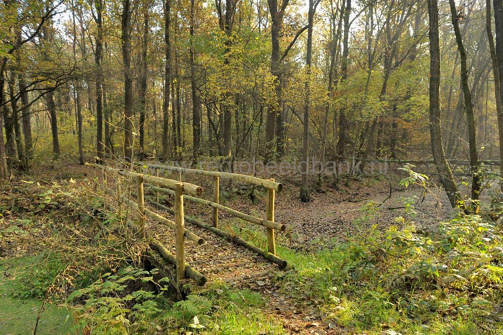 Broekerbos_109.jpg