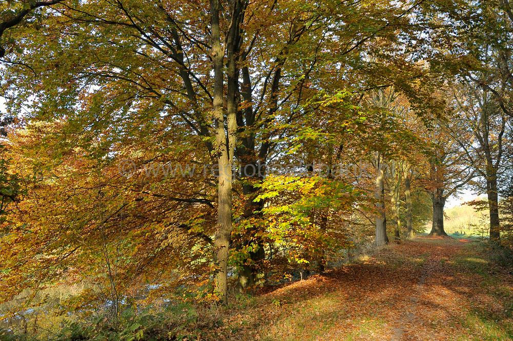 Broekerbos_111-1.jpg