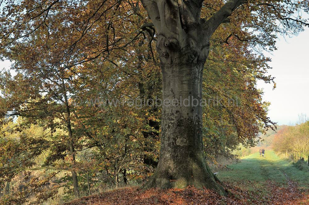 Broekerbos_117-1.jpg