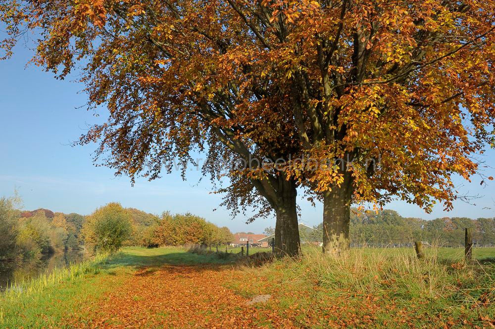 Broekerbos_119-1.jpg