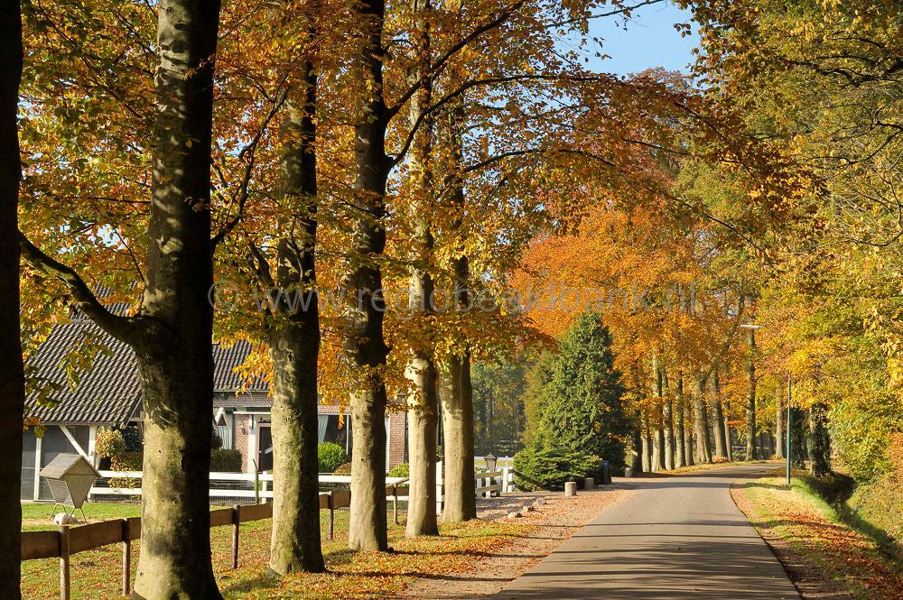 Broekerbos_123-1.jpg