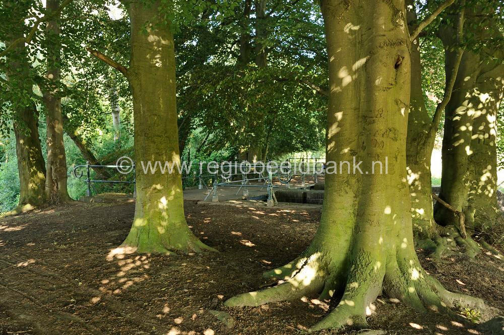 Bruinenburgersluis