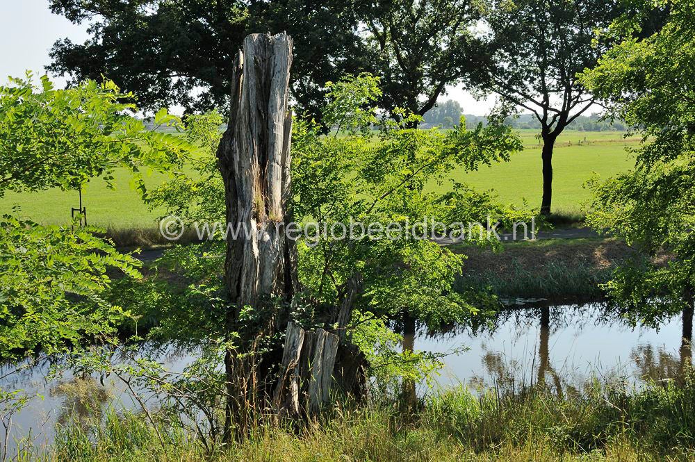 Bruinenburgersluis_025.jpg