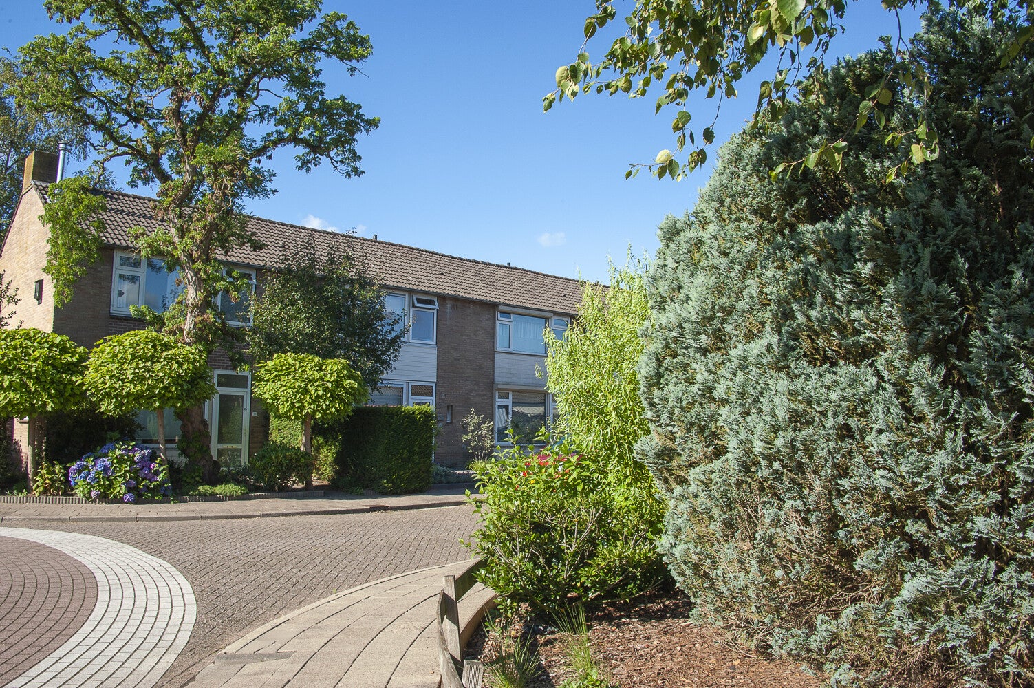 Bruinhorsterlaan_0264.jpg