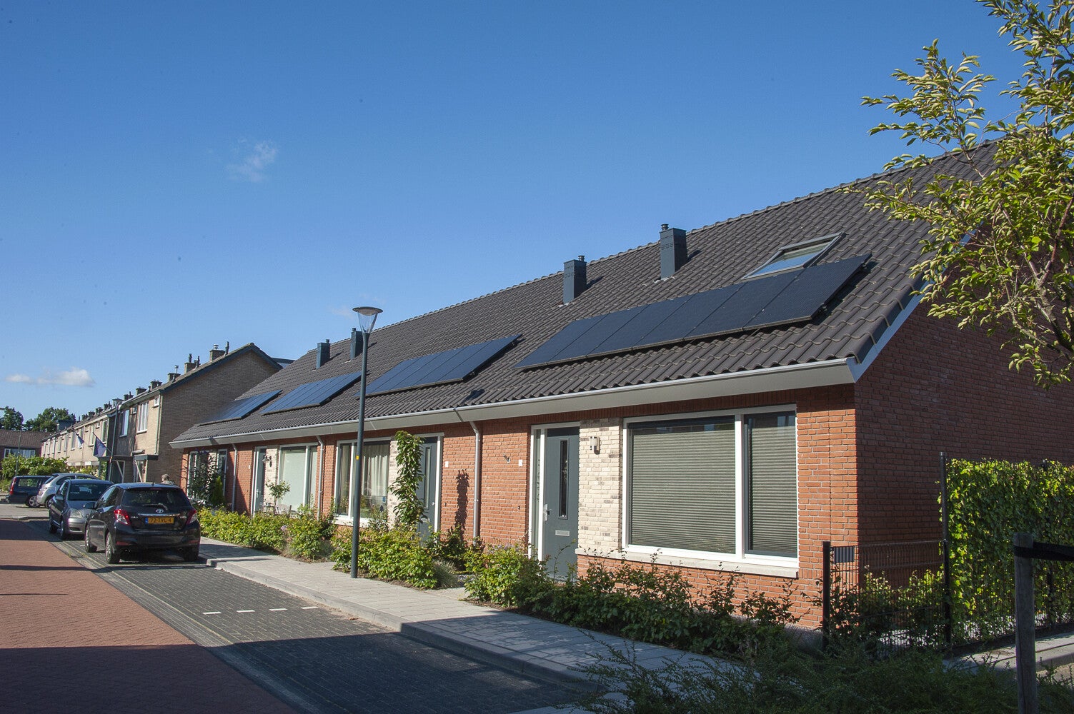 Bruinhorsterlaan_0270.jpg