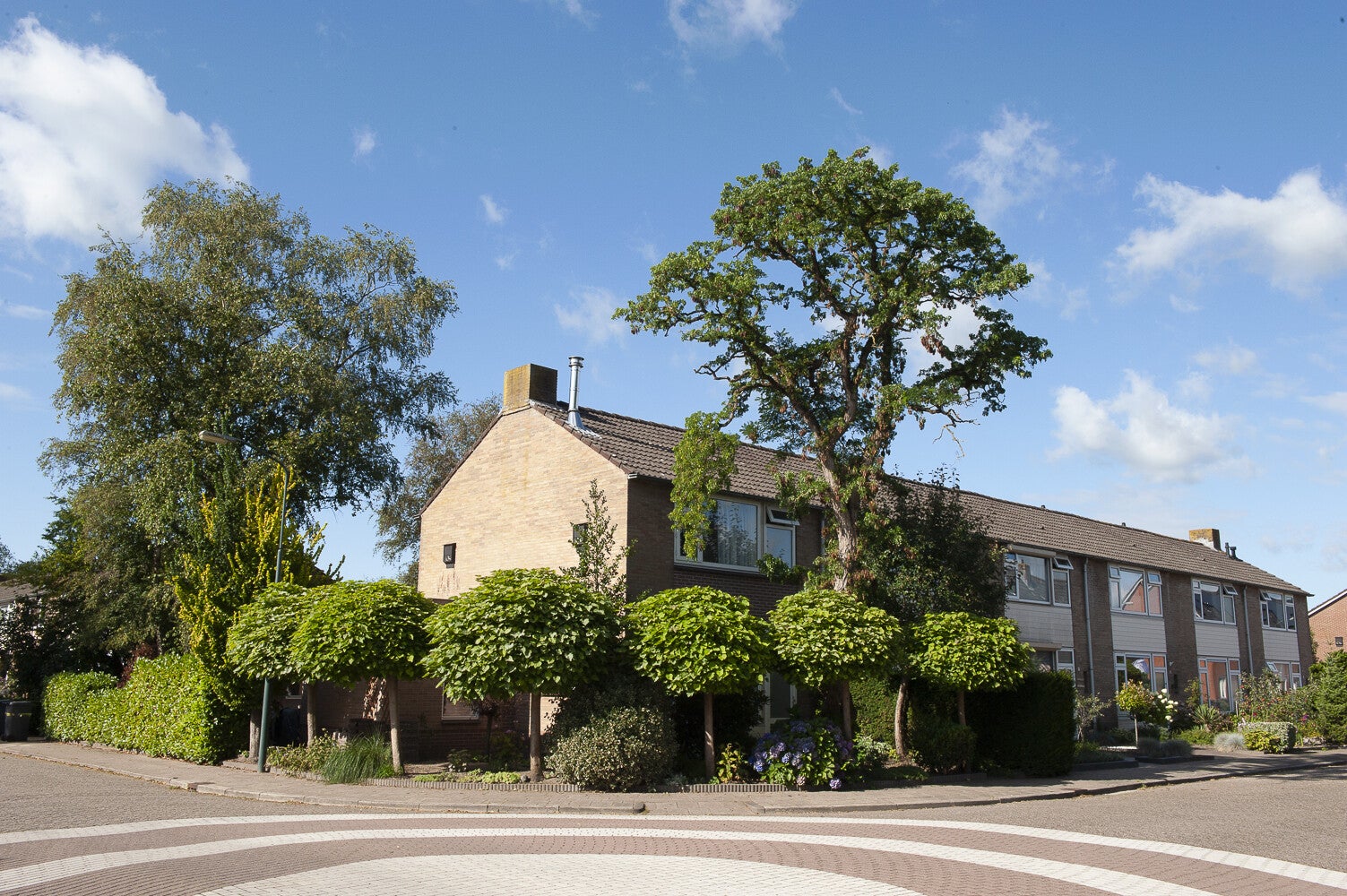 Bruinhorsterlaan_1025-1.jpg