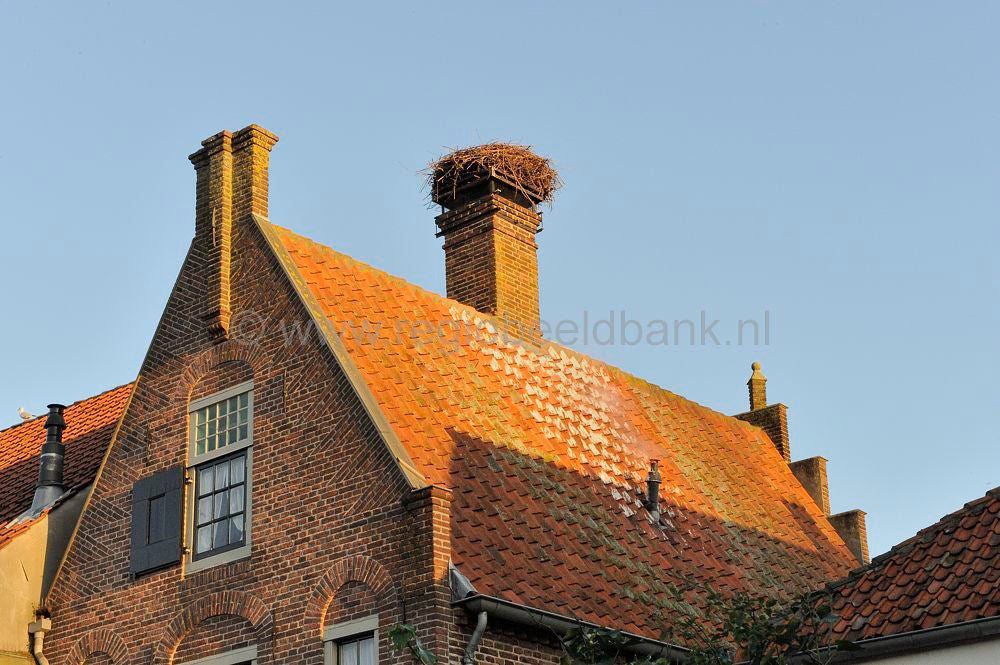 Buren_020.jpg