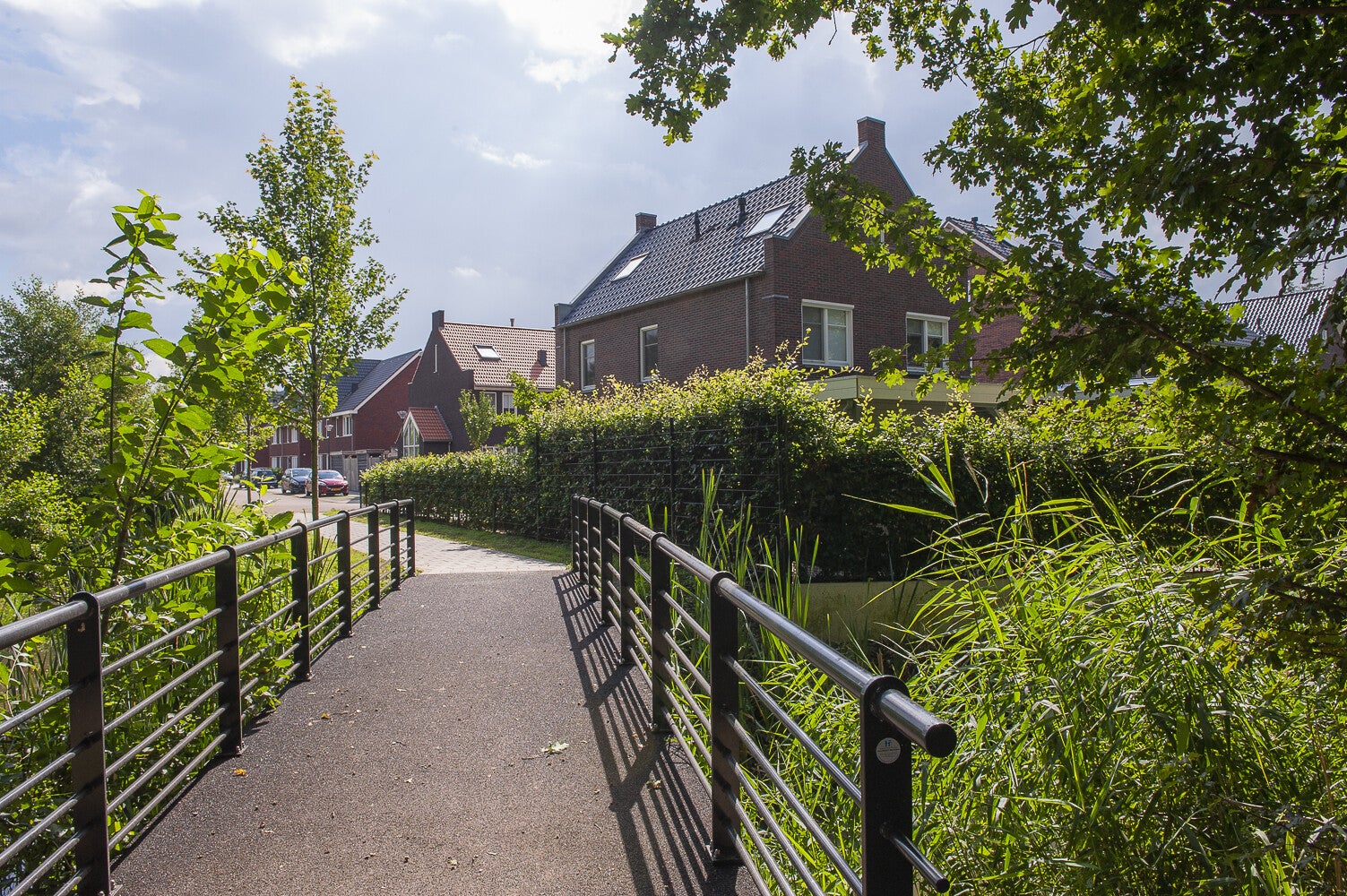 BurgColijn-deRaatsingel_0865.jpg